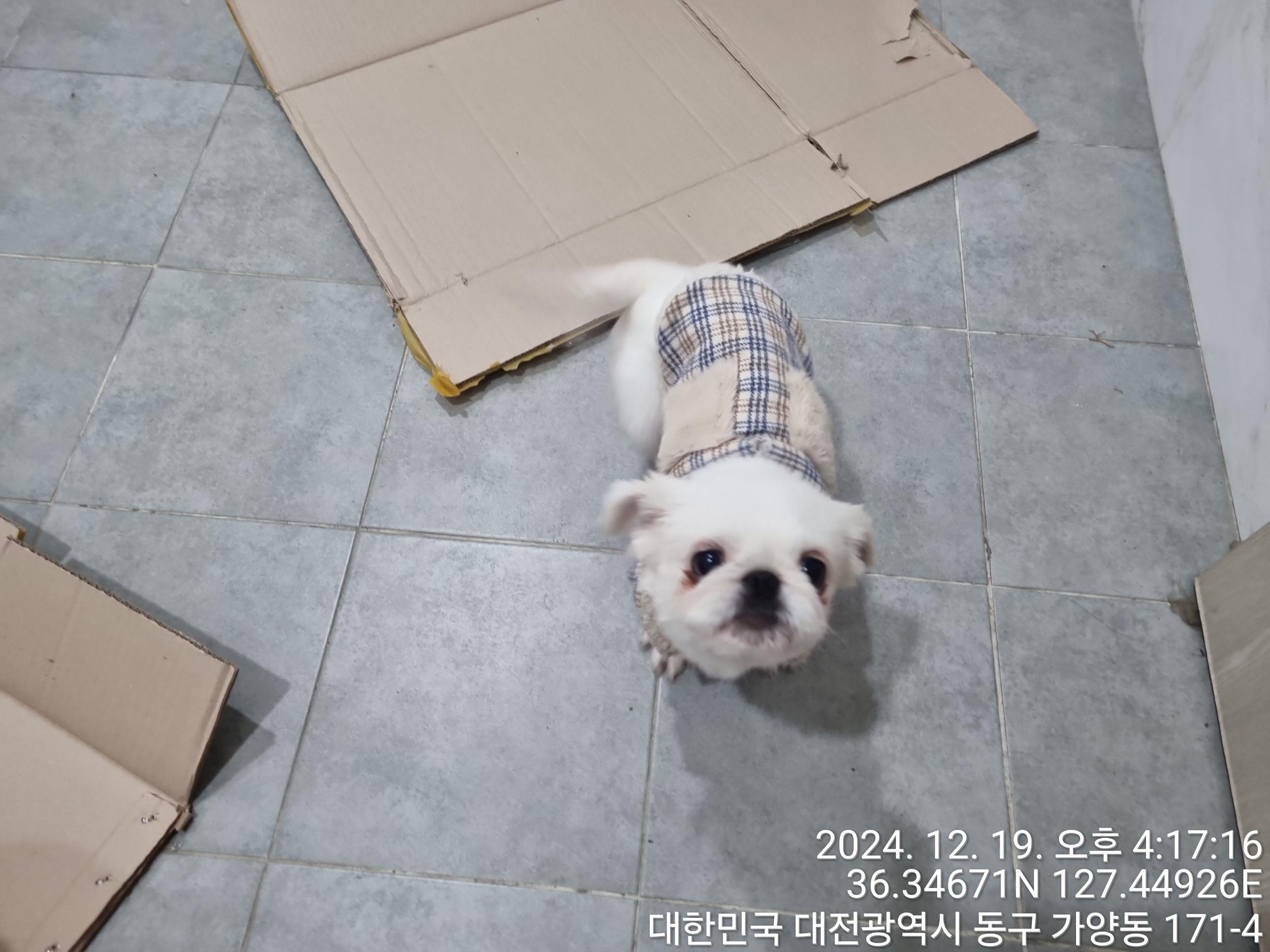대전동물보호센터_430364202400816